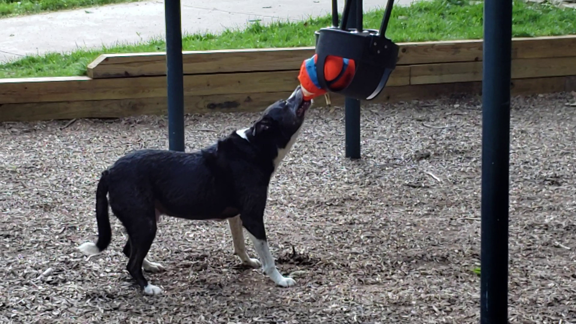 Fighting swing for ball